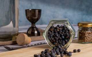 Секреты и полезные свойства можжевельника обыкновенного