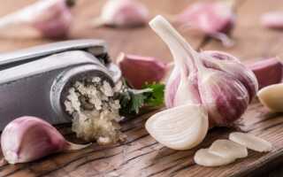 Чеснок — ваш верный помощник в борьбе с вредителями и болезнями