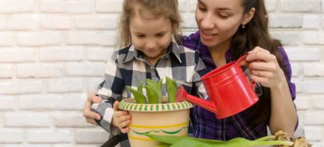 С праздником, мама: делаем подарок на 8 марта своими руками