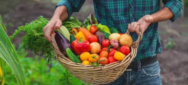 Лунный календарь садовых и огородных работ на 2023 год