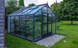 Нужна ли вам теплица? Все плюсы и минусы неоднозначной постройки