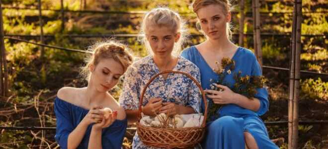 Как сезонный бизнес может получать прибыль осенью: опыт оптового питомника Venev