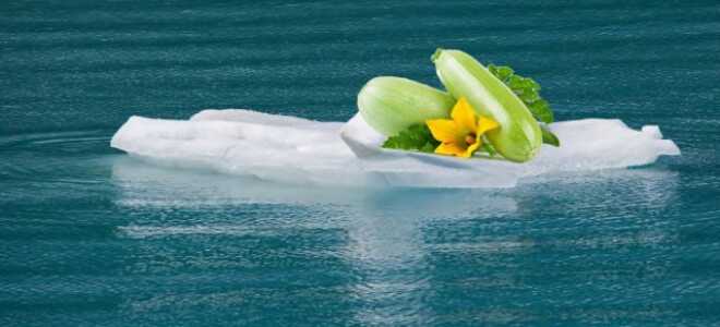 Мемы про кабачки — дачный юмор о любимом овоще