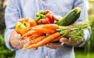 Без чего невозможен хороший урожай — восполняем дефицит микроэлементов