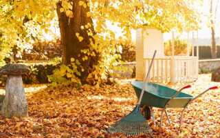 Что делать на даче в ноябре: план действий