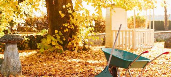 Что делать на даче в ноябре: план действий