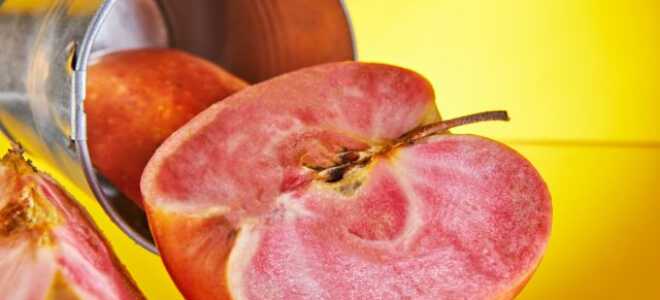 Выдумки маркетологов: разбираемся в яблочных и грушевых гибридах