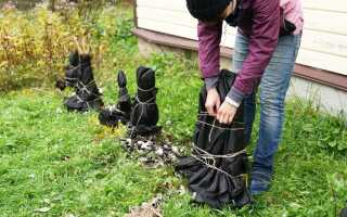 Надежные варианты зимних укрытий из личного опыта — памятка для всех регионов