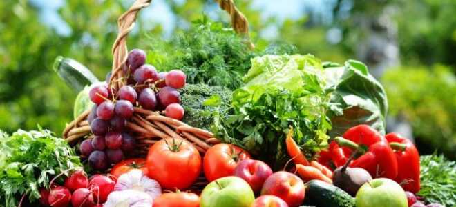 Лунный календарь садовых и огородных работ на 2020 год