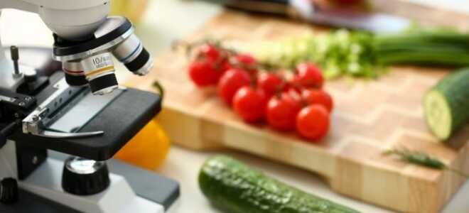 ГМО ваш друг: чем генно-модифицированные овощи лучше обычных