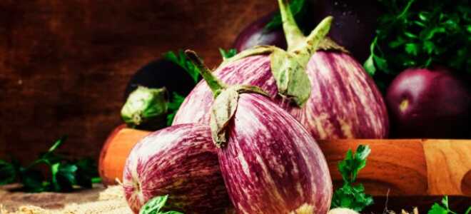 Полосатое семейство: 10 необычных сортов баклажанов