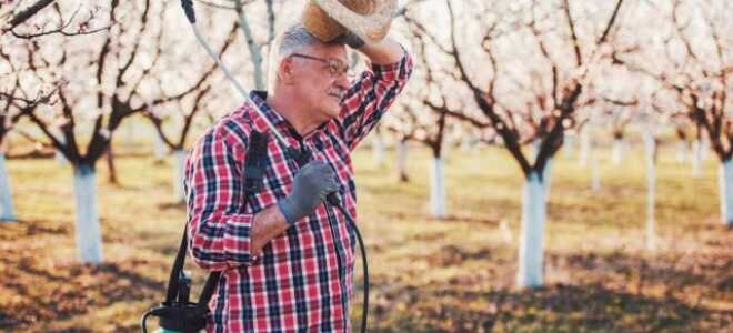 Весенняя защита сада от вредителей без химии