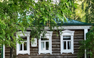 Почему считается, что нельзя сажать березу возле дома: приметы и суеверия, объективные причины запрета