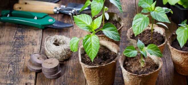 Лунный календарь садовода и огородника на март 2020