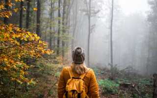 Как не заблудиться в лесу: гайд по выживанию