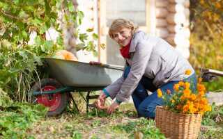 Самое необходимое для подготовки сада к зиме