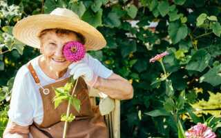 Огород для «ленивых»: как облегчить себе работу на даче