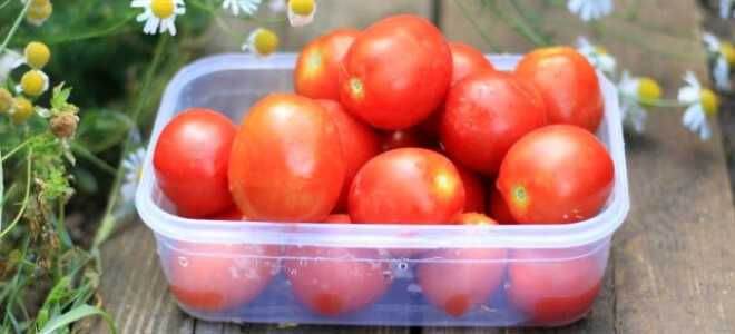 12 сортов томатов, испытанных мною в прошлом году