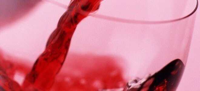 Вино из малины — как приготовить его самостоятельно?