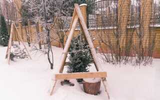 Чтобы саженцы пережили зиму: как защититься от непогоды и голодных животных