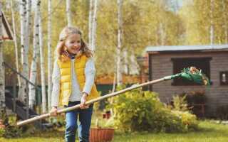 Не время отдыхать: обязательные работы осенью в саду и огороде