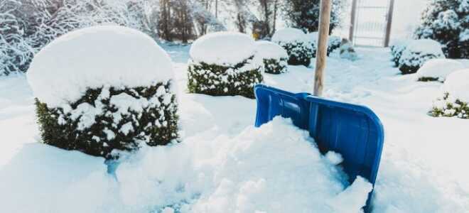 Лунный календарь садовода и огородника на декабрь 2022