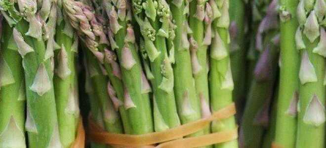 Какие имеет спаржа полезные свойства для здоровья?