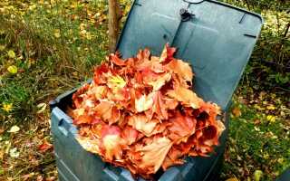 Готовь компост с осени: лучшее время для заготовки органического удобрения