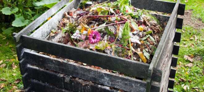 Нужно ли ускорять созревание компоста и когда этого делать нельзя