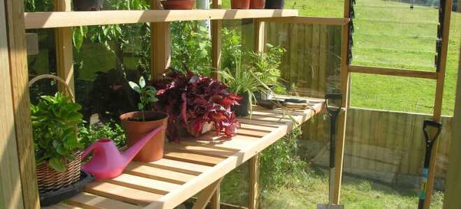 Как сделать парник для рассады своими руками: подборка вариантов с фото