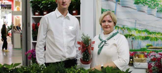 Праздничное настроение — в цветах