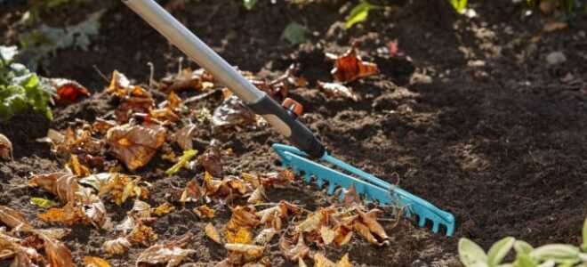 3 важных шага для здоровой и плодородной почвы