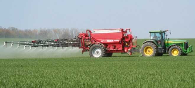 Подкормка озимой пшеницы