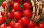 Томаты, перец, огурцы, баклажаны — новые сочные вкусы