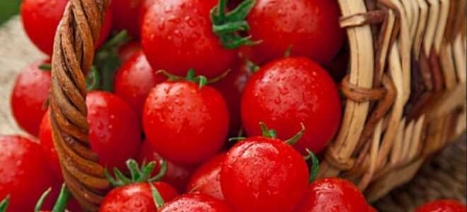 Томаты, перец, огурцы, баклажаны — новые сочные вкусы