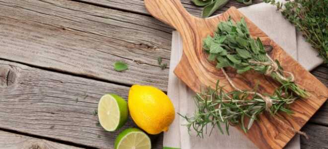 Цитрусовые пряности: 5 растений с лимонным ароматом для сада и дома