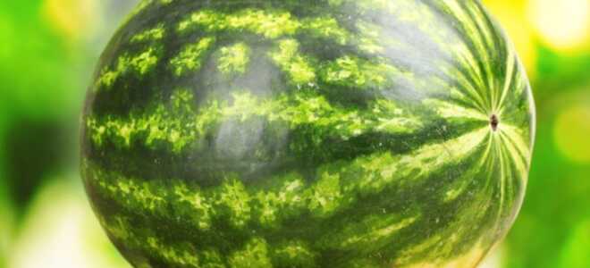 Как выбрать сладкий спелый арбуз без нитратов, видео