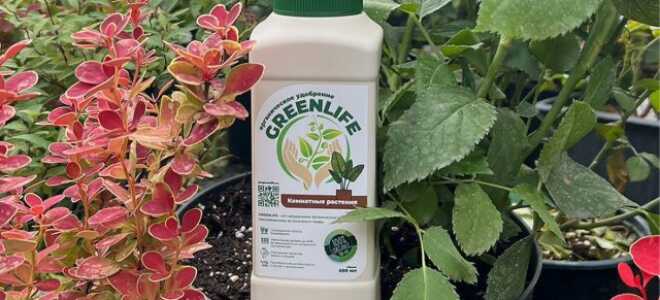 Органические удобрения помогут оживить участок — сила экологичного садоводства