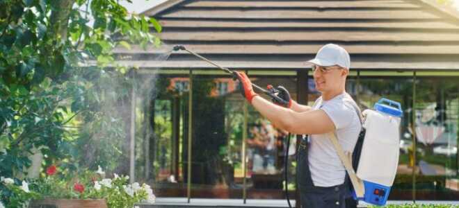 7 дел на участке, которые не стоит делать самостоятельно