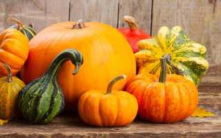 Cкрытый потенциал тыквы — польза в каждой части