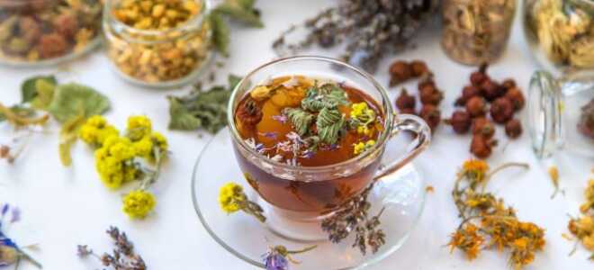 Чайный садик для души и здоровья: выбираем растения для ароматного чая