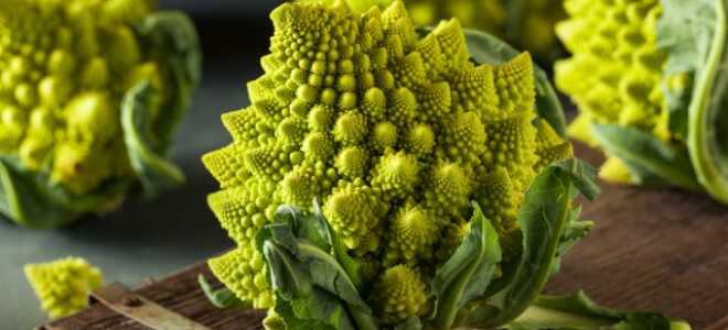 Овощи-экзоты: 14 культур, которые я советую выращивать