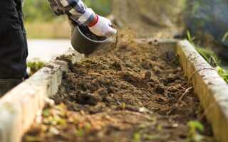 5 главных советов для лучшего плодородия почвы в следующем сезоне