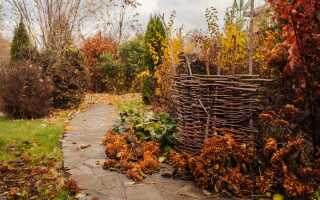 Не убирайте сад на зиму! 12 причин почему «неухоженный» сад лучше