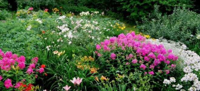 Как остановиться и перестать сажать?