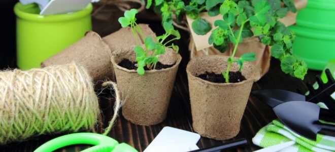 Простые и надежные способы маркировки посевов