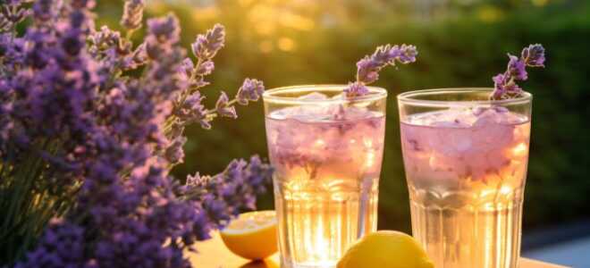 Польза сухих цветов лаванды — 4 действенных рецепта для души и тела