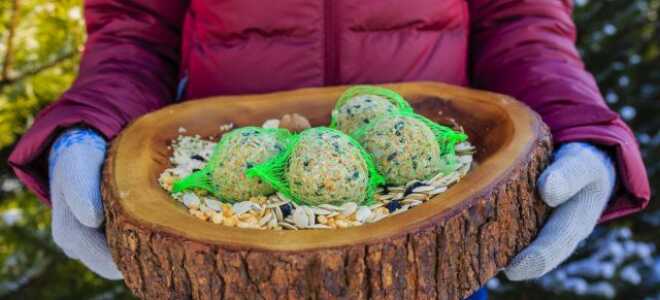 Чем можно и нельзя кормить птиц зимой?