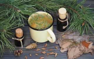 Неожиданная польза от сосны обыкновенной — уникальные свойства дерева