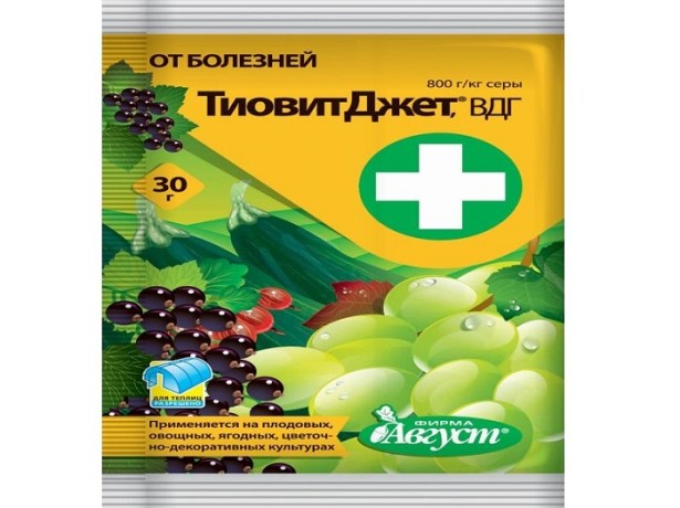 Чем опрыскивать виноград